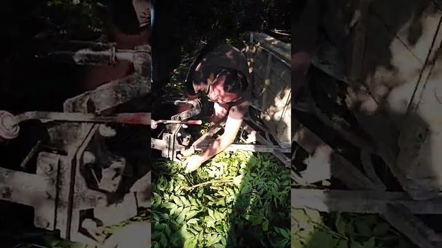 Не пийте ха рулем, село Шили рулять