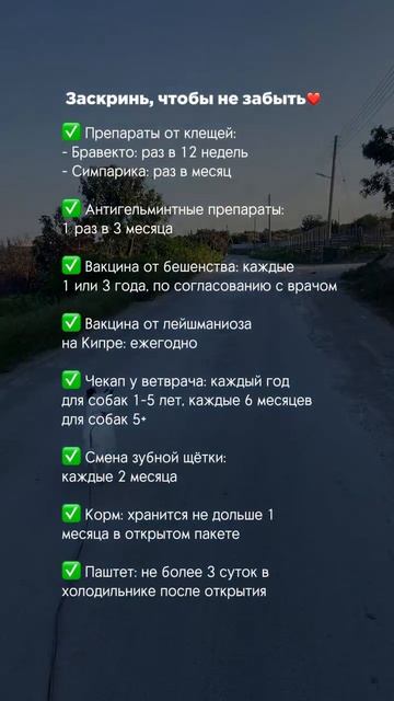 Памятка по уходу за собакой