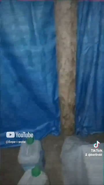 Сезон помідорів в одному відео @бери і роби #farming #сорт #