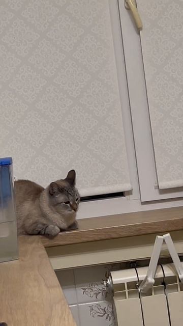 Мне этот мир абсолютно понятен