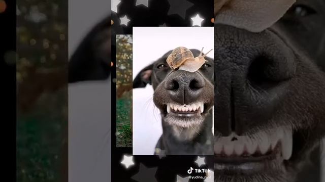 Доброе утро!!!
