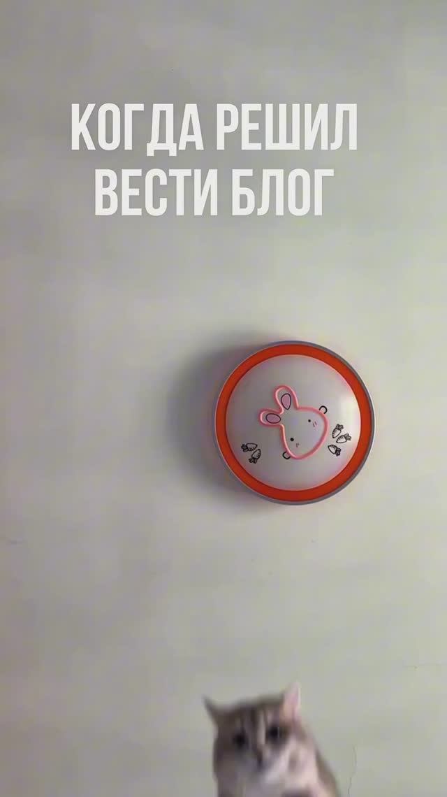 ПОДПИСЫВАЙСЯ НА КАНАЛ➡️@content_smm
⠀