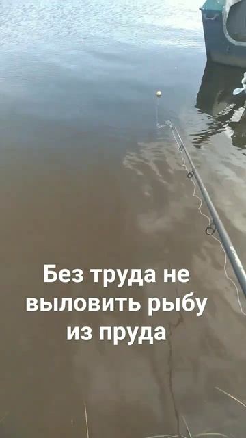 без труда не выловить рыбу из пруда