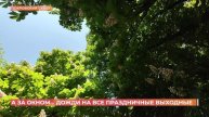 А за окном. 7 мая 2025