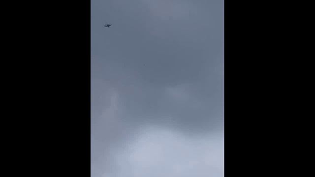 Столица весь день отбивалась от чубо-мух_ Пока довольно успешно