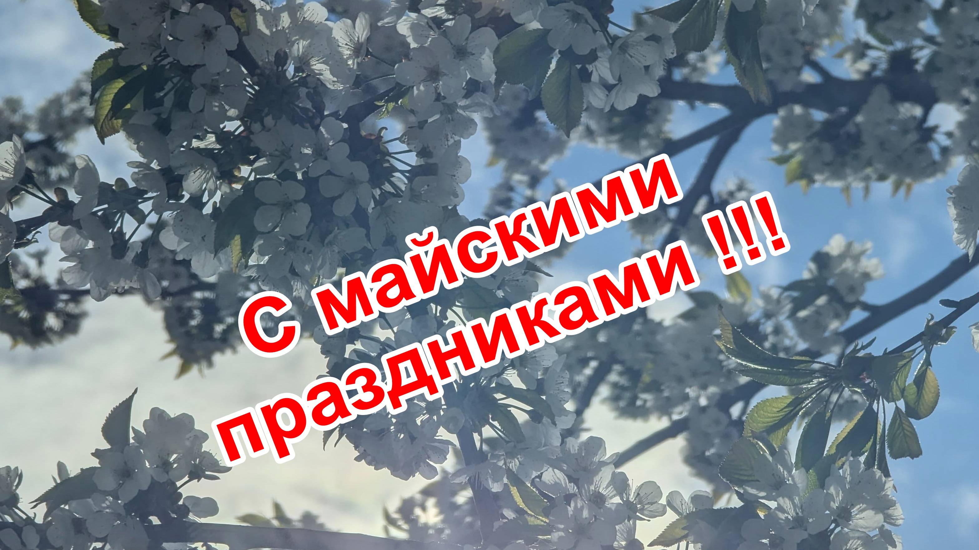 Месяц май!