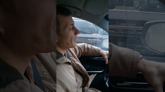 Toyota RAV4 - ездовые. Неплохо, но с ленцой
