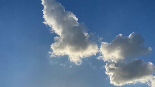 Стих: стремление к святости