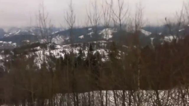 тростян ч.2