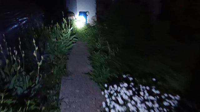 квест