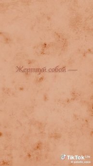 Синека