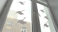 «Журавли Победы» появились на окнах гимназии №5