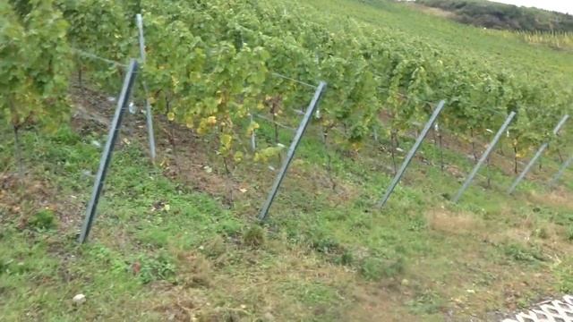 Марш-бросок из Bernkastel-Kues в Traben-Trarbach..... Часть 3
