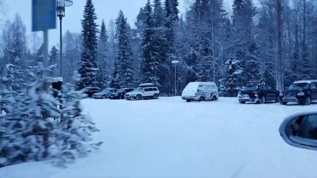 Рука 2019