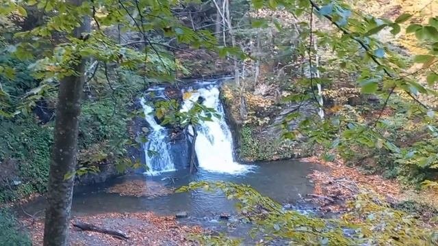 На білі гриби до водоспаду 