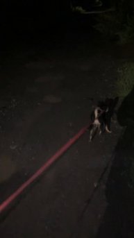 Мартин и Шила ☺️