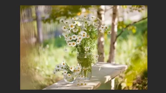 Верона Шумилова, - Уйдёт ромашковое лето..., муз. и исп. #СамуилФрумович