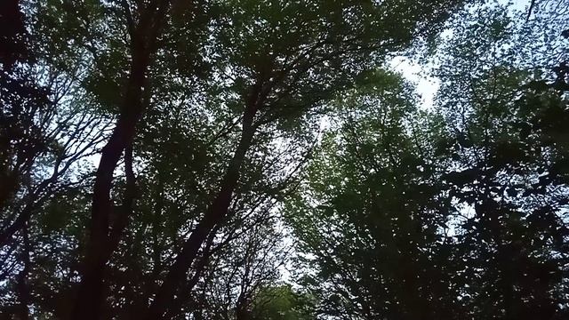 Ставропольские певцы....