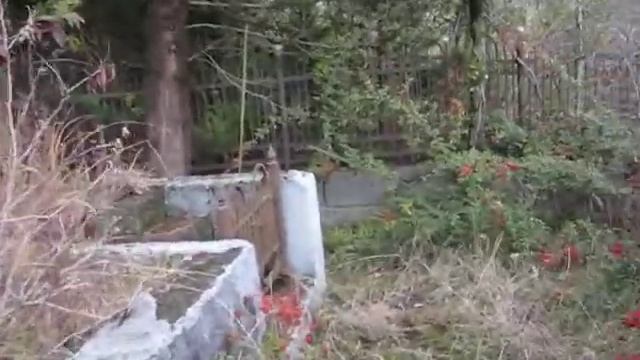 Как найти Алешу Нестора Машава
