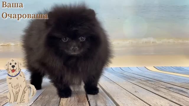 От Бонни