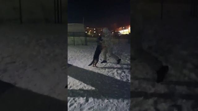 Берта играет с папой 😉