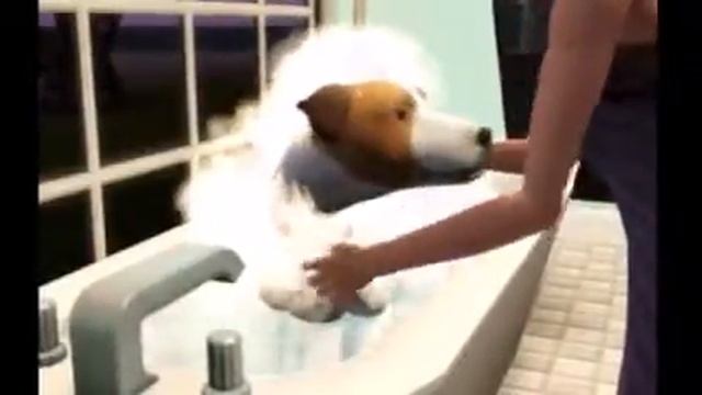 Хардбасс