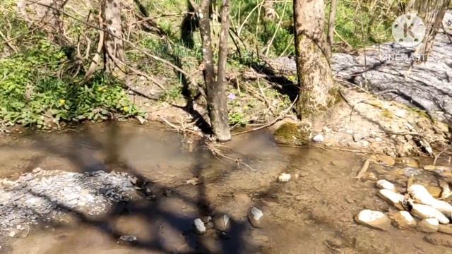 Окресности Алушты. Река Улу-Узень и Изобильнеское водохранилище. 7 апреля 2024.
