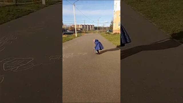 шпиц тоби