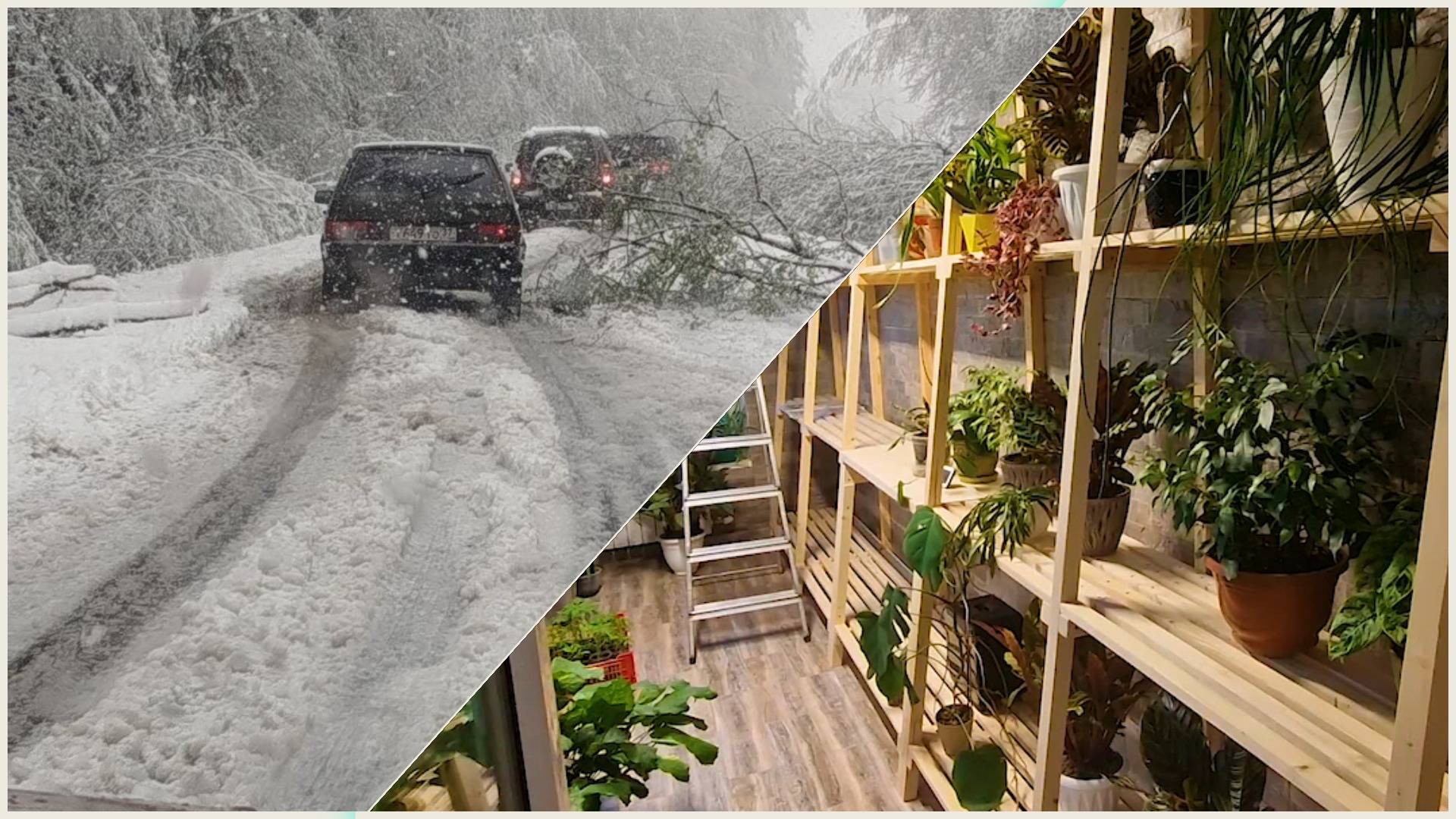Это смахивает на климатическое оружие 🥶🥵  Съели все запасы 🥔едем закупать ещё. Стеллаж готов 🔥