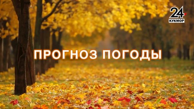 Новости Кукмора от 06.10.2023