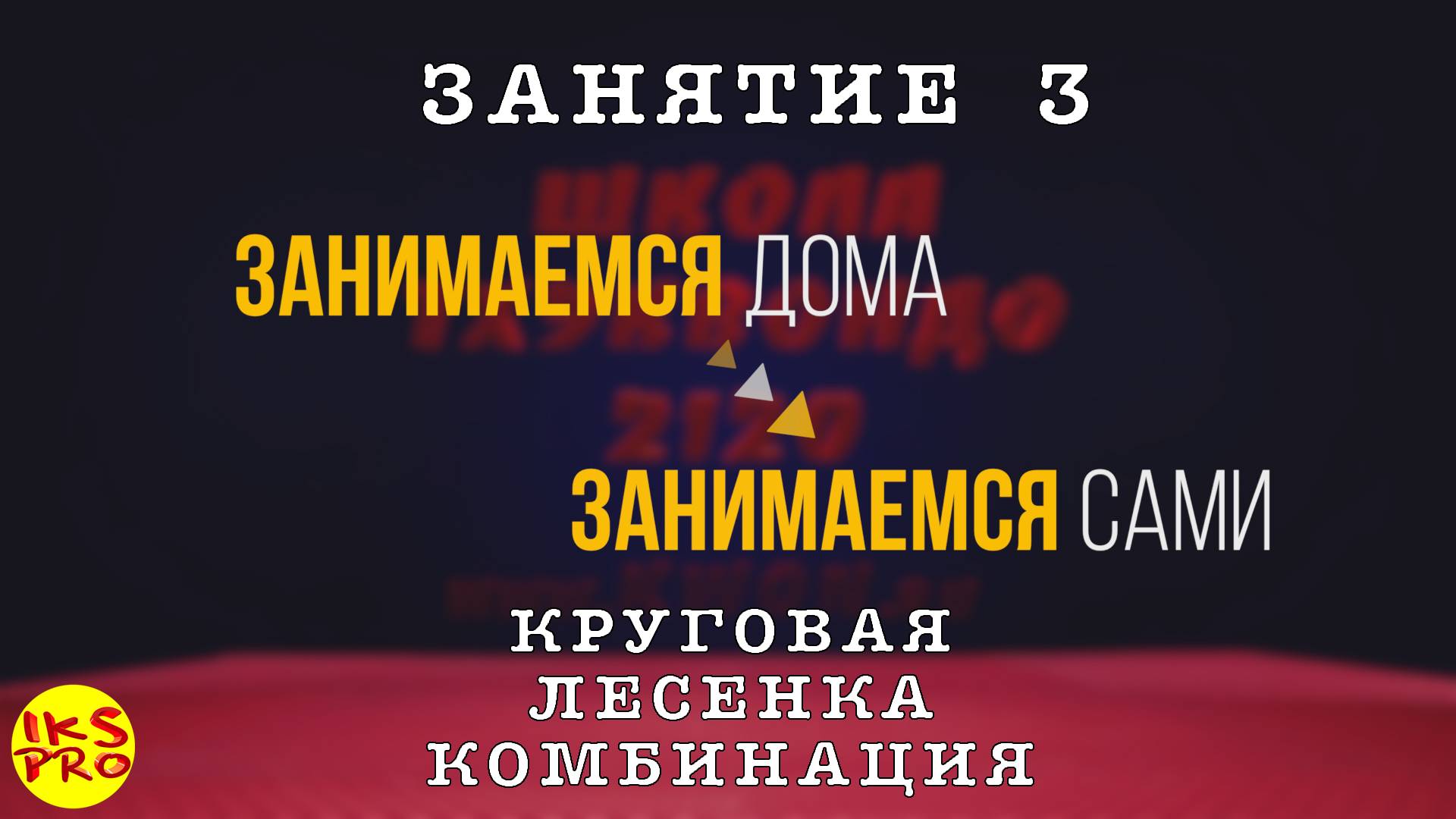 Онлайн тренировка Тхэквондо №3