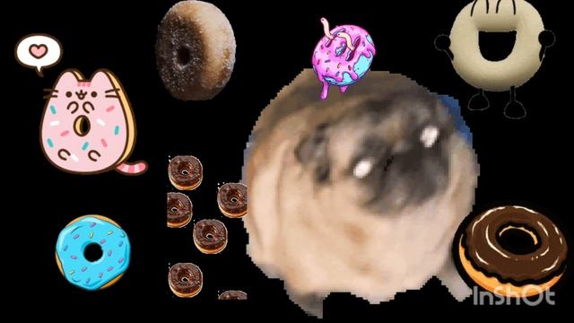 песня про мопса который хотел поймать пончики🐶🍩🍩