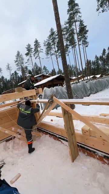 Проект в охта парке - баня из клееного бруса . Этап рабо
