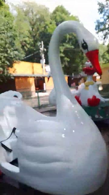 Саша  Маша на прогулки #park #дети #funny