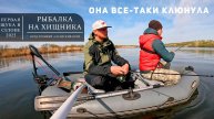 Весенняя рыбалка на спиннинг | Джиг, тейл-спиннер | Щука, окунь и готовка на природе.