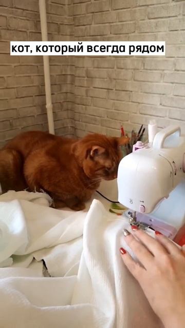 Симба всегда тут! | Шьём полотенца с котом