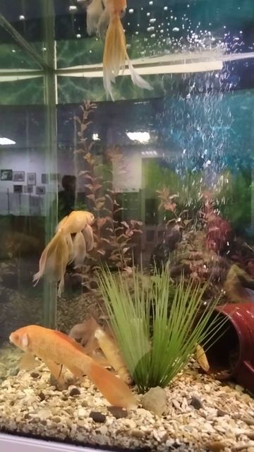 Релакс после праздничной ночи