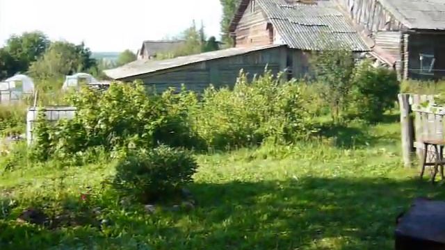 Утро в деревне.