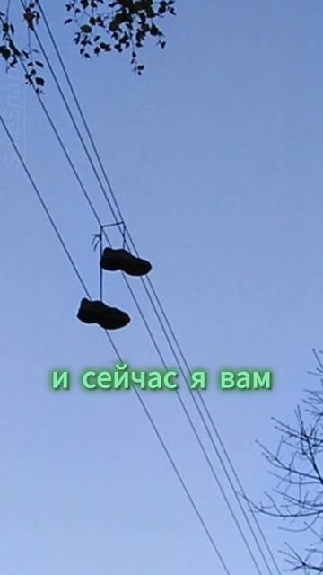 Зачем это делают  #кроссовки #short #shorts