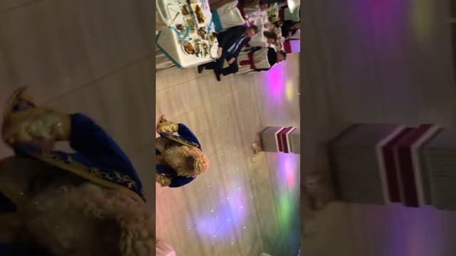 Шоу программа на день рождения кумы