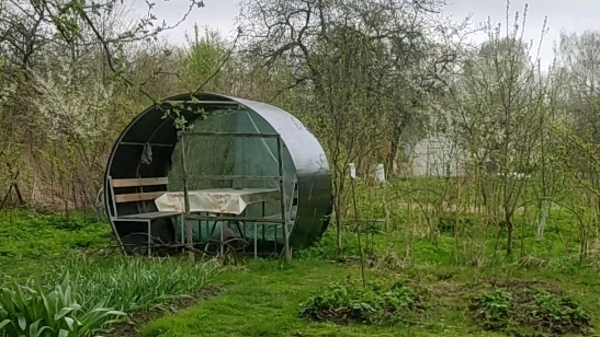 07-05-2025 вложик садовый, 7-8 мая 25 года. Морковь, посадки, пробники духов,винтажные очки)