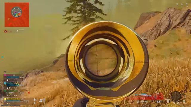 WARZONE BATTLE ROYALE CASUAL GOLDEN TIGER SNIPER
