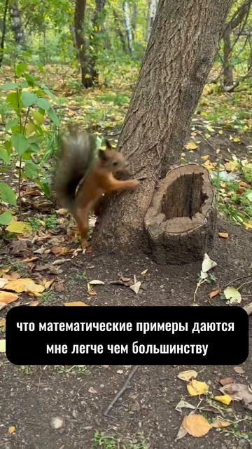 В каждом видео есть много полезного. Подпишись!