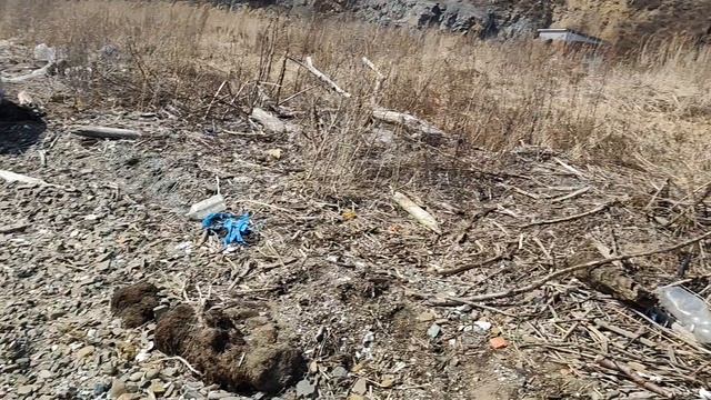 К сожалению, не вся береговая линия Амурского залива Японского моря может являться зоной  отдыха.