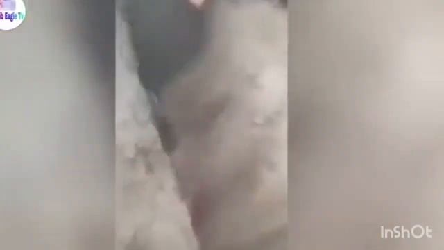 дар кабр