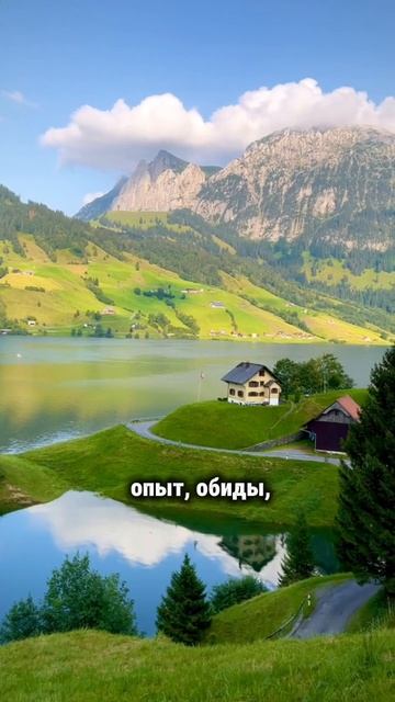 Мы все живём в одном и том же мире, но воспринимаем по-разному #творец #материализация #силасознания