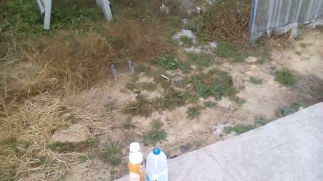 На работу в Корею - 2 (осень). 13 серия. Теплица.