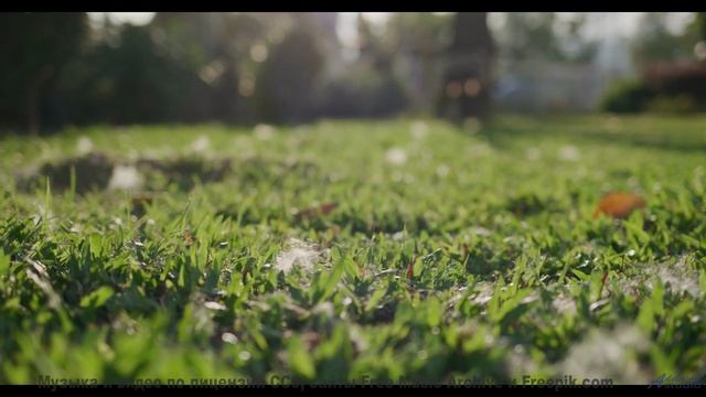 Леса становятся ближе с каждым новым аккордом - Blood -- Anthem of Rain -- Unnamed album