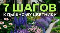 Если Многолетники Посадить Так То Цветник Будет Красив Всегда