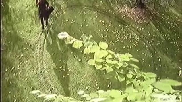 Пародия на рекламу МТС